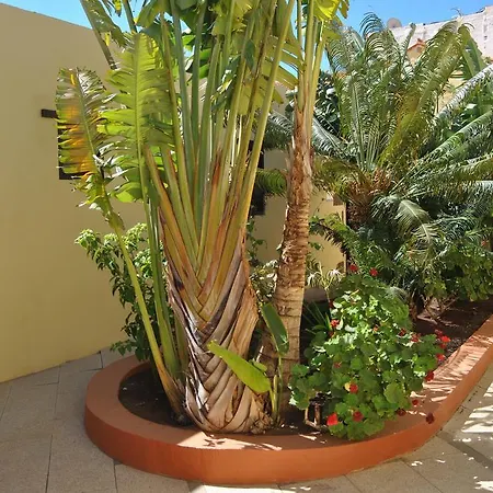 בית כפרי La Aldaba Agüimes